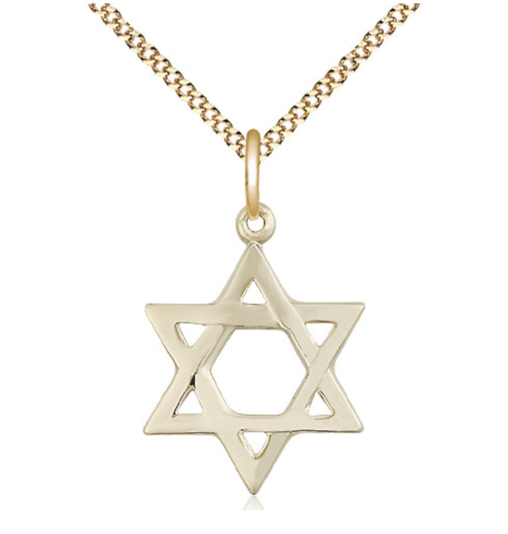 Bliss 14kt Gold Filled Star of David Pendant on a 18 inch Gold Plate Light Curb Chain,