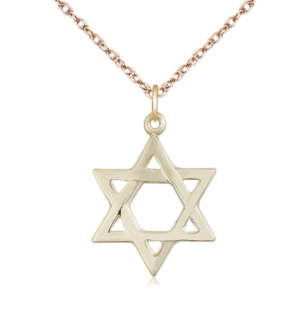 Bliss 14kt Gold Filled Star of David Pendant on a 18 inch Gold Filled Light Rope Chain,