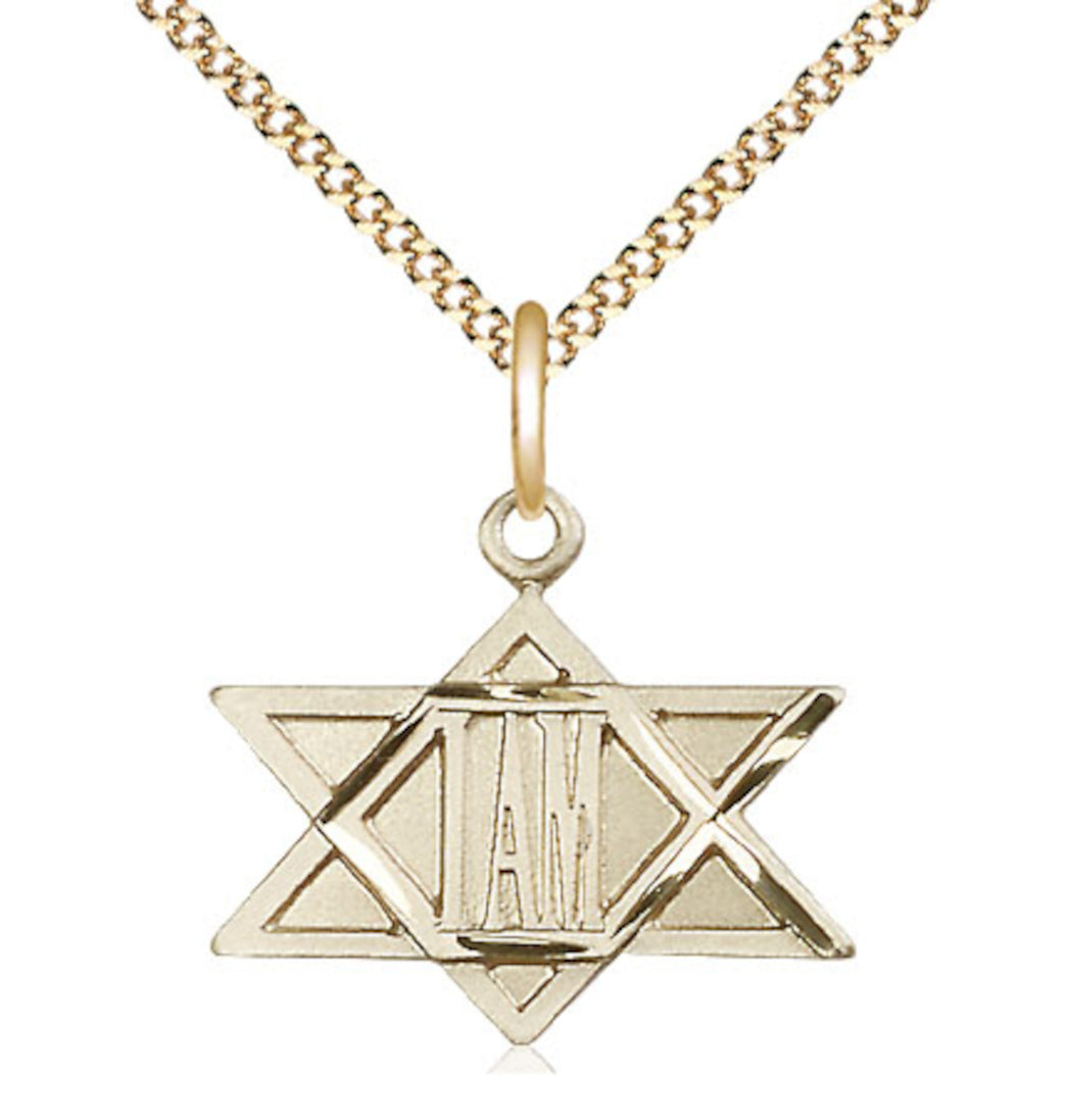 Bliss 14kt Gold Filled I Am / Star of David Pendant on a 18 inch Gold Plate Light Curb Chain,