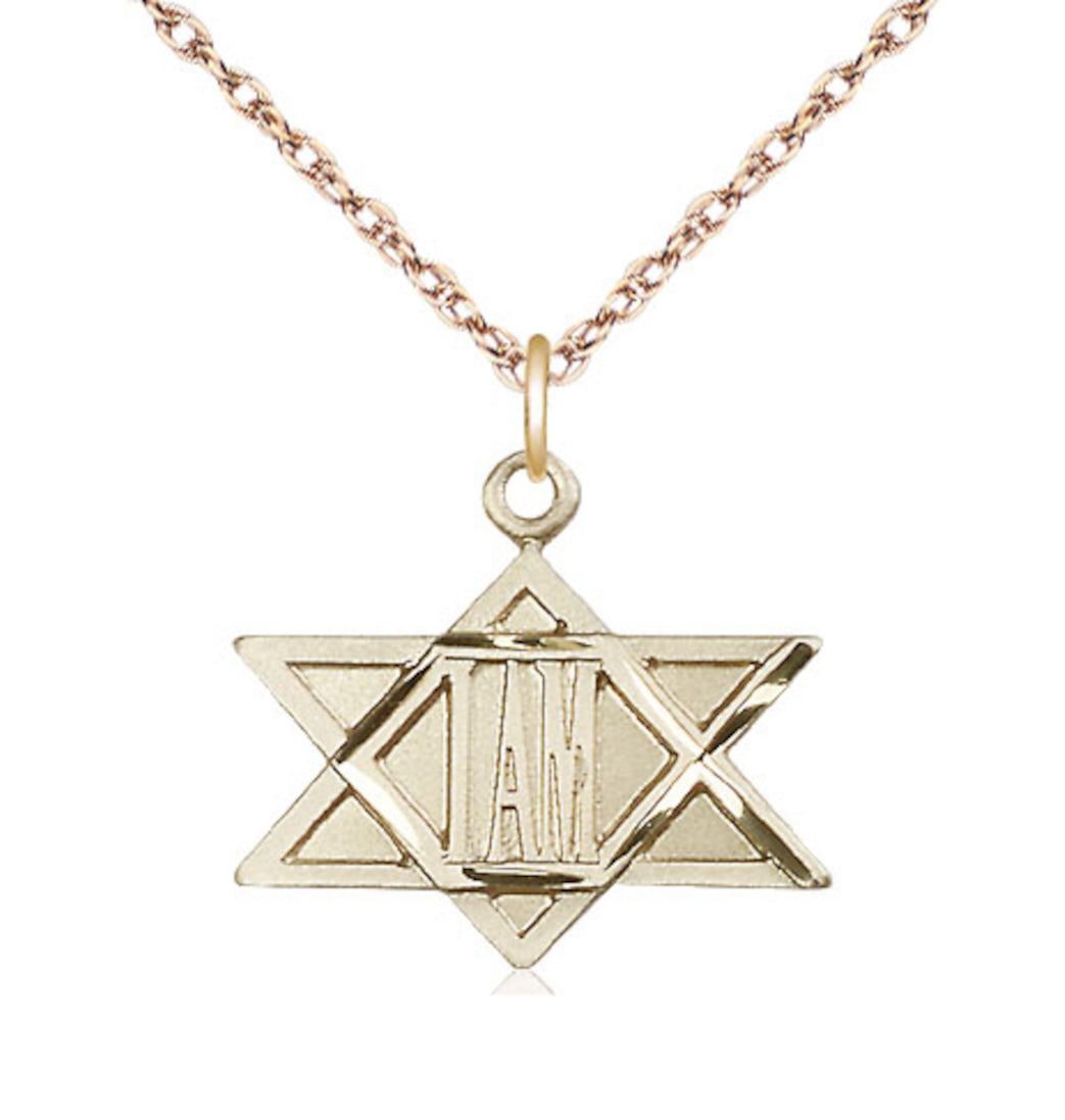 Bliss 14kt Gold Filled I Am / Star of David Pendant on a 18 inch Gold Filled Light Rope Chain,