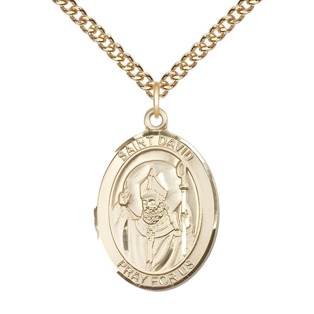Bliss St. David of Wales 14kt Gold Oval Medal Pendant with 14kt Gold Chain, Measures 1-inch tall by 3/4-inch wide.