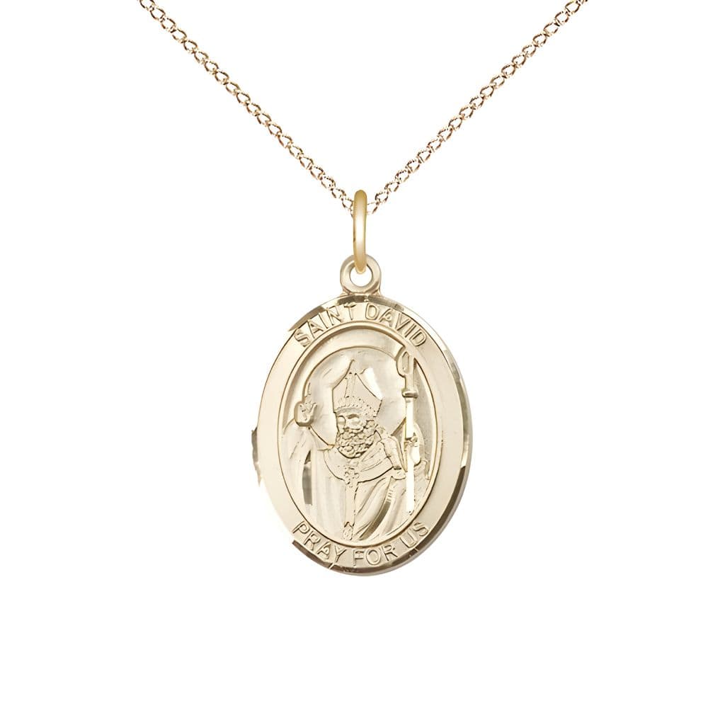 Bliss St. David of Wales 14kt Gold-filled Oval Medal Pendant with Gold-fdilled Chain, Measures 3/4-inch tall by 1/2-inch wide.