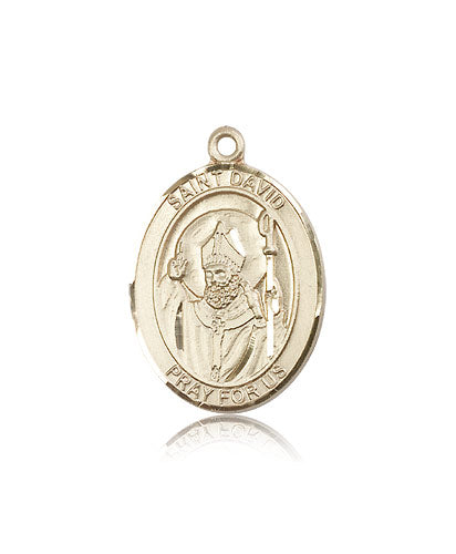 Bliss St David of Wales Catholic Patron Saint Medal