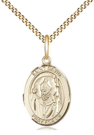 Bliss St David of Wales Catholic Patron Saint Medal